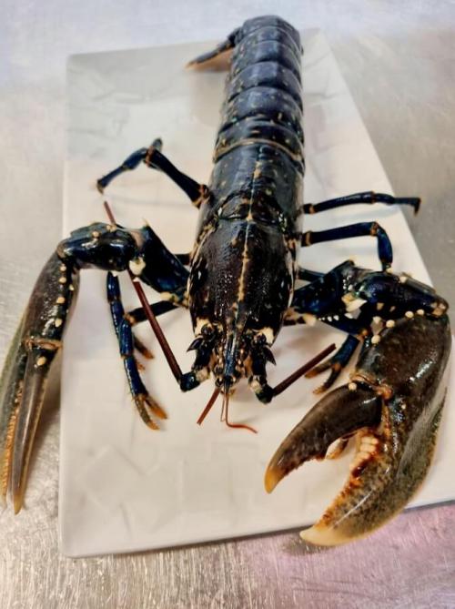 Photo Café Foutu Photo Café Foutu