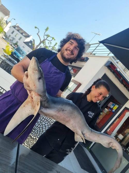 Photo Café Foutu Photo Café Foutu